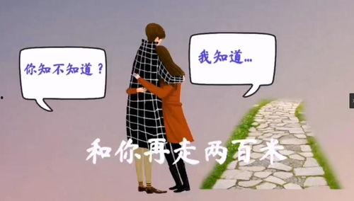 两百米视频,精彩瞬间浓缩，揭秘视频精华